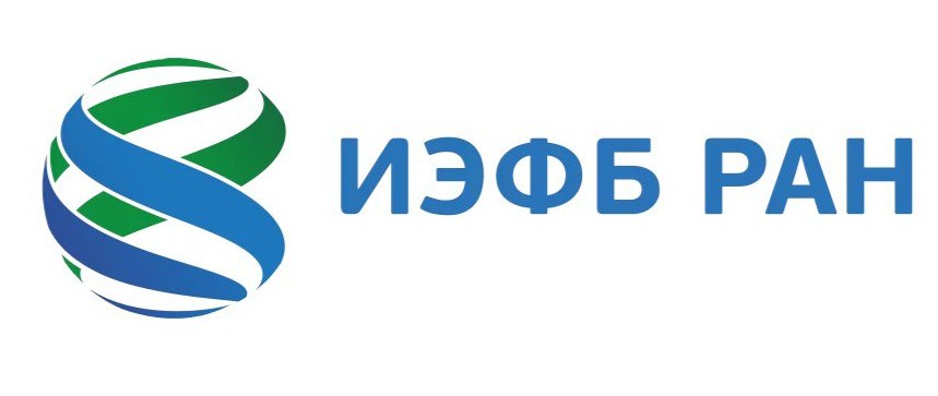 576.jpg (29 KB)